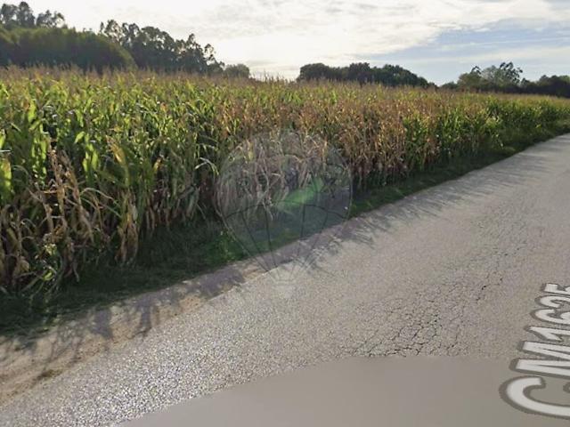 Terreno venda em Trofa, Segadães e Lamas do Vouga, Águeda