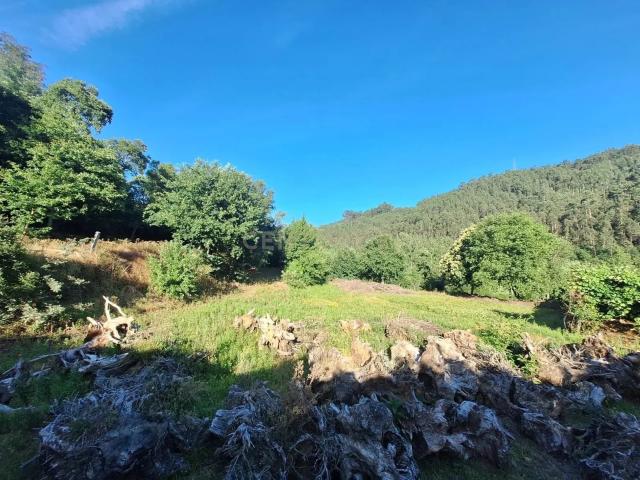 Terreno venda em Arouca, Tropeço