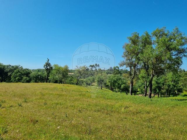 Terreno venda em São Luís, Odemira