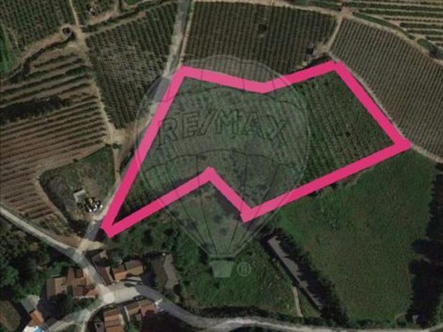 Terreno venda em Mugideira, Torres Vedras