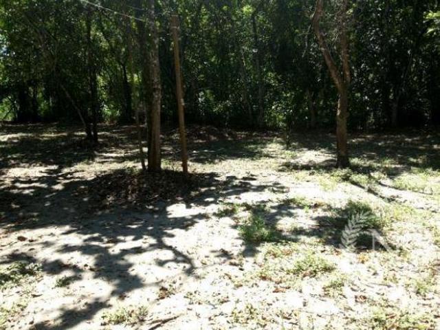 Terreno venda em Região Imediata de Caraguatatuba-Ubatuba-São Sebastião, Região Metropolitana do Vale do Paraíba e Litoral Norte