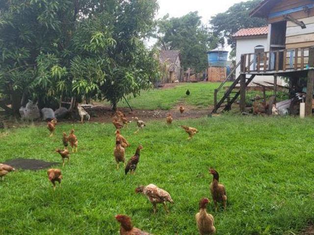 Terreno venda em Região Imediata de Bauru, Ubirajara