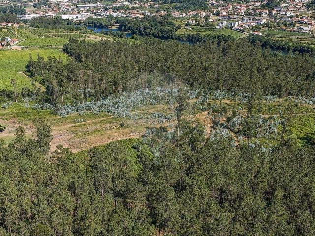 Terreno venda em Ucha, Barcelos