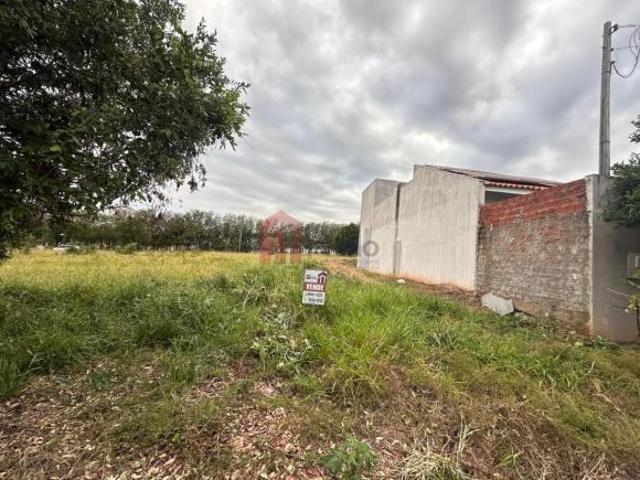 Terreno venda em Região Geográfica Imediata de Umuarama, Região Metropolitana de Umuarama