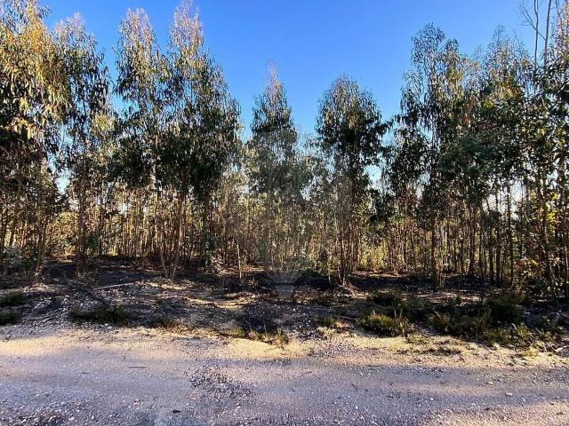 Terreno venda em Urqueira, Ourém