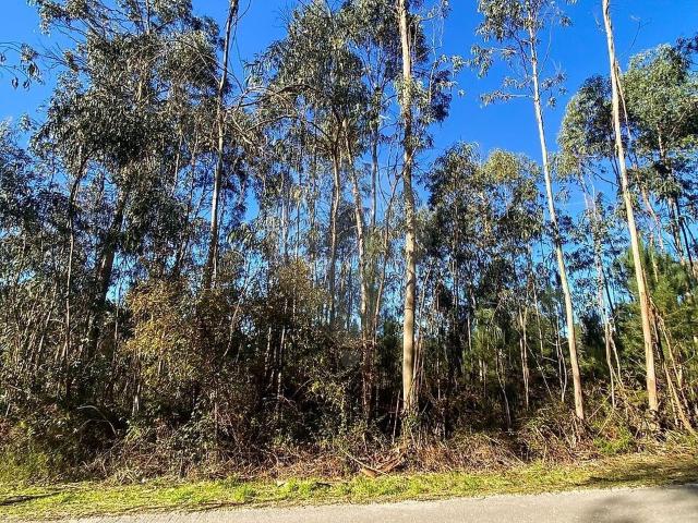 Terreno venda em Urqueira, Ourém