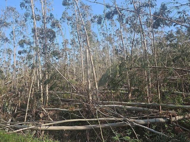 Terreno venda em Urqueira, Ourém