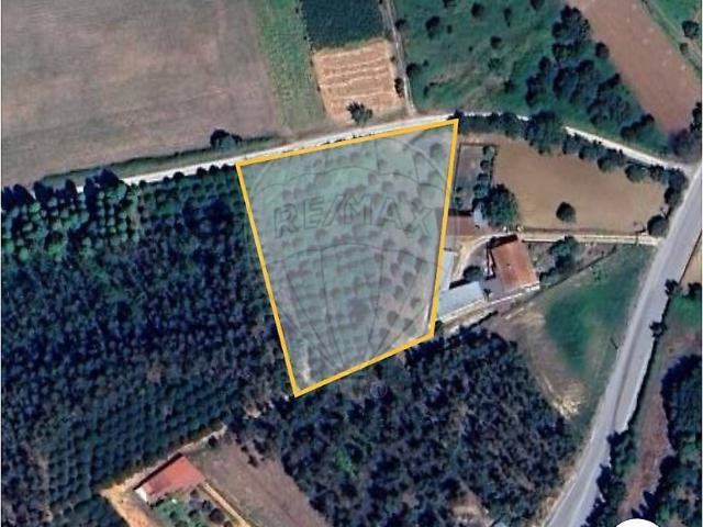Terreno venda em Vacariça, Mealhada