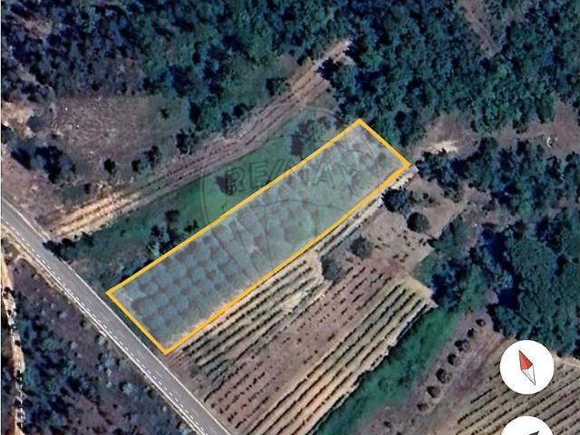 Terreno venda em Vacariça, Mealhada