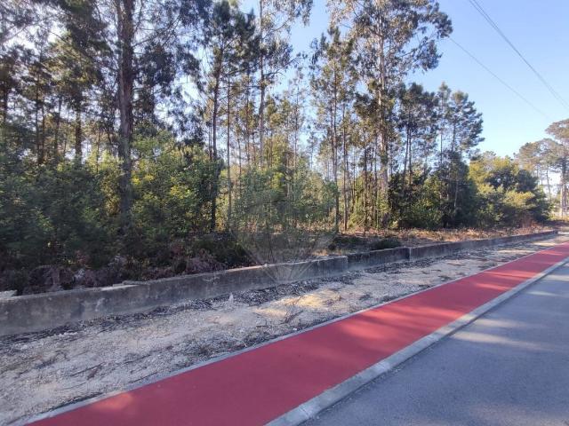 Terreno venda em Parada de Cima, Ponte De Vagos