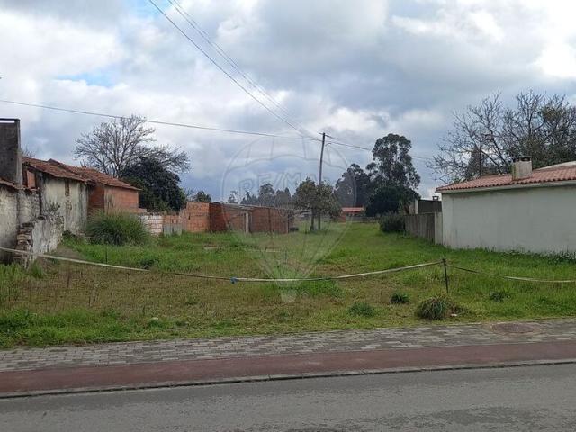 Terreno venda em Sanchequias, Ponte De Vagos