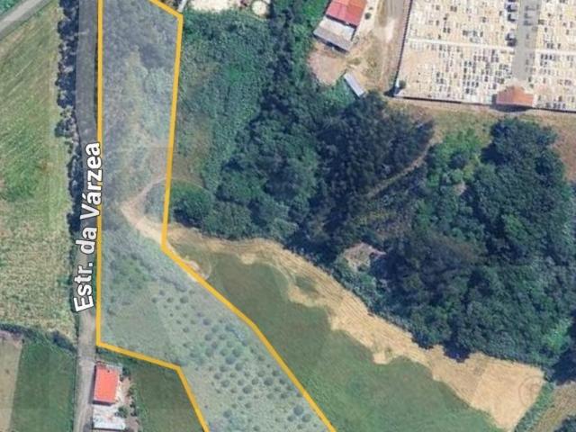 Terreno venda em Pederneira, Valado Dos Frades