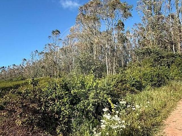 Terreno venda em Valado dos Frades, Nazaré