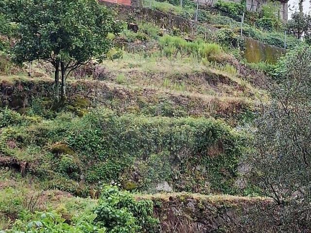 Terreno venda em Bouro (Santa Maria), Amares