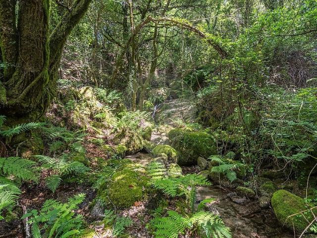 Terreno venda em Valdreu, Vila Verde
