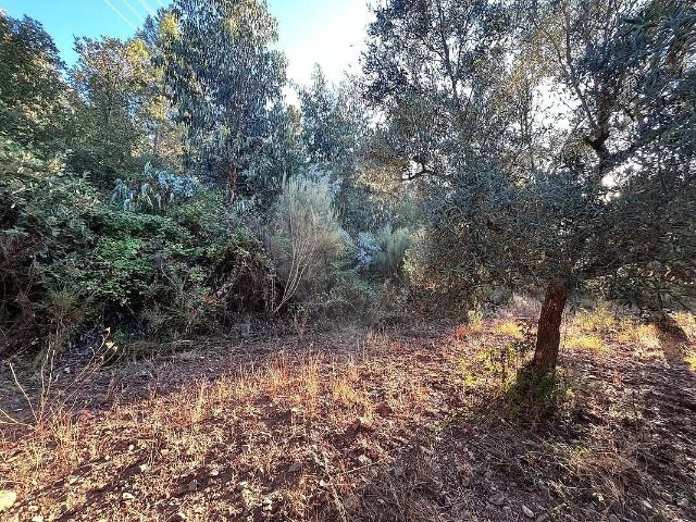 Terreno venda em Vale da Senhora da Póvoa, Penamacor