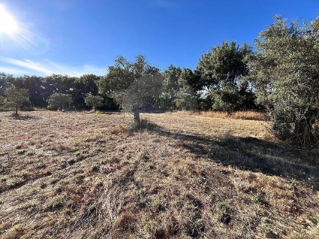 Terreno venda em Vale da Senhora da Póvoa, Penamacor
