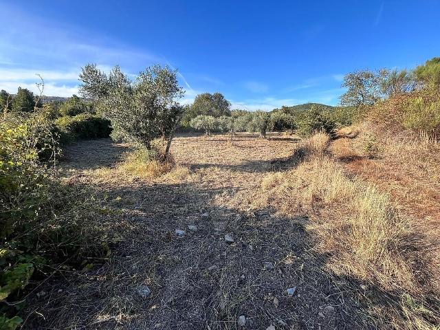 Terreno venda em Vale da Senhora da Póvoa, Penamacor