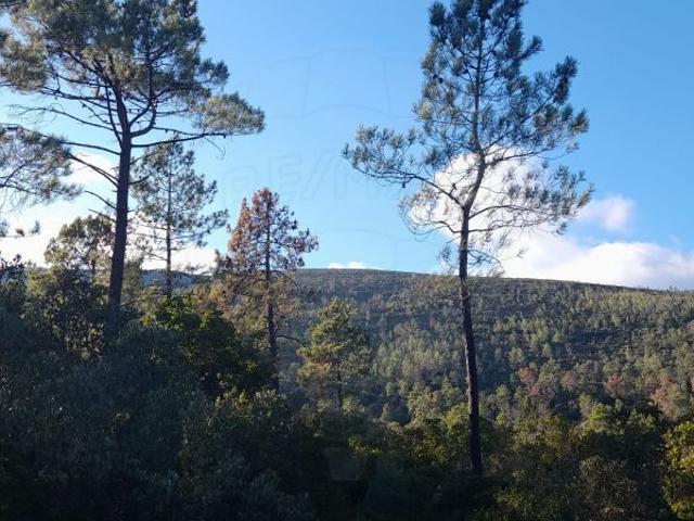 Terreno venda em Casal do João Dias, Torres Novas