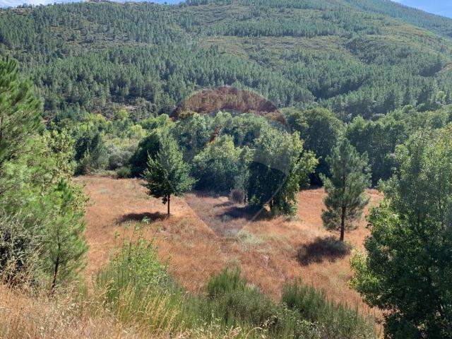 Terreno venda em Vale da Amoreira, Manteigas
