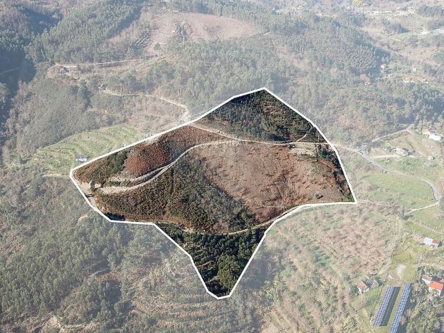 Terreno venda em Veade, Gagos e Molares, Celorico de Basto