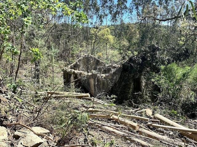 Terreno venda em Vale De Cambra, Aveiro