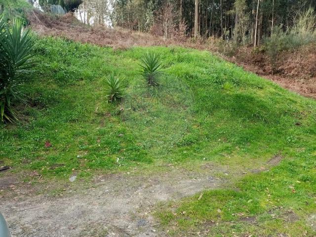 Terreno venda em Vale De Cambra, Aveiro