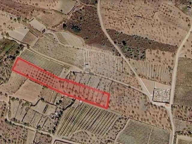 Terreno venda em Vale de Figueira, São João da Pesqueira