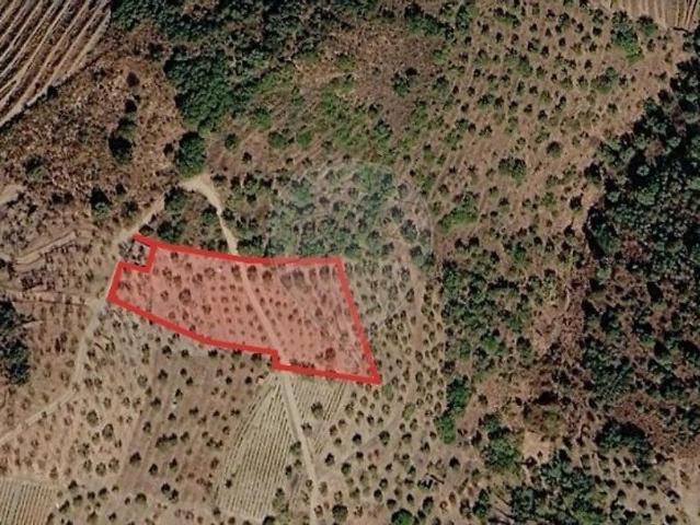 Terreno venda em Vale de Figueira, São João da Pesqueira