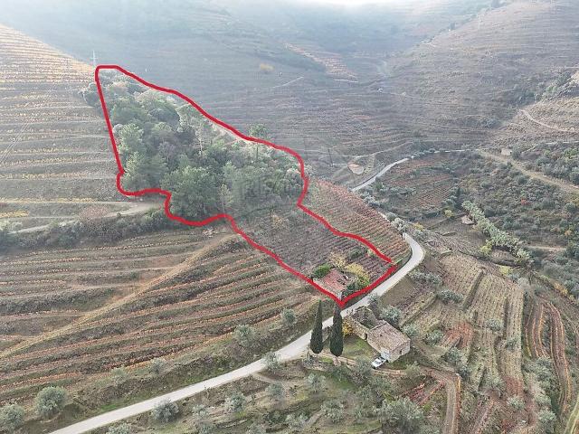Terreno venda em Vale de Mendiz, Casal de Loivos e Vilarinho de Cotas, Alijó