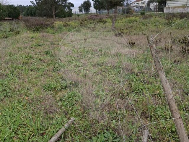 Terreno venda em Vale de Santarém, Santarém