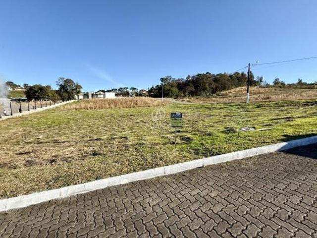 Terreno venda em Região Geográfica Imediata de Bento Gonçalves, Bento Gonçalves