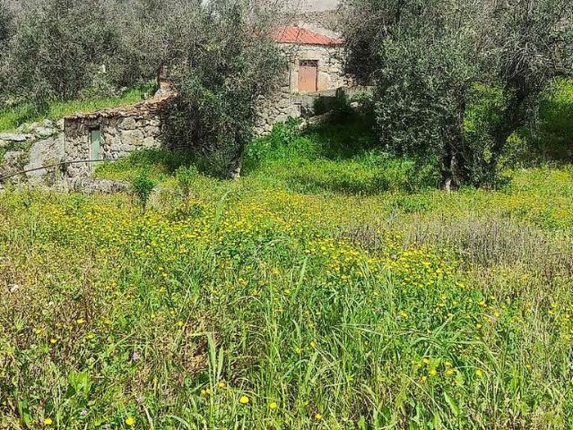Terreno venda em Vale Formoso e Aldeia do Souto, Covilhã