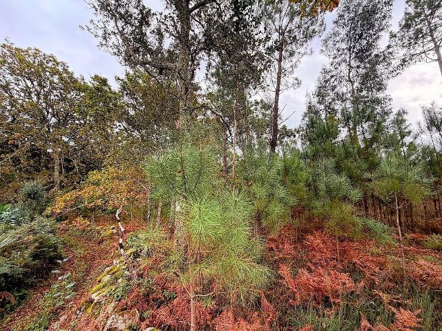 Terreno venda em Valença, Viana Do Castelo