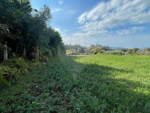 Terreno venda em Valença, Viana Do Castelo