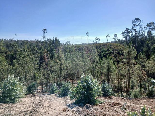 Terreno venda em Ourém, Santarém