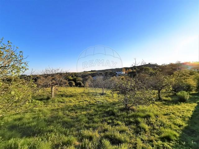 Terreno venda em Olaia e Paço, Torres Novas