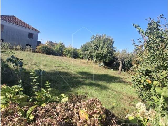 Terreno venda em Valongo do Vouga, Águeda