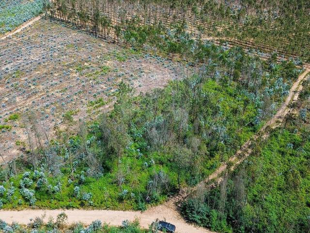 Terreno venda em Aguada de Cima, Águeda