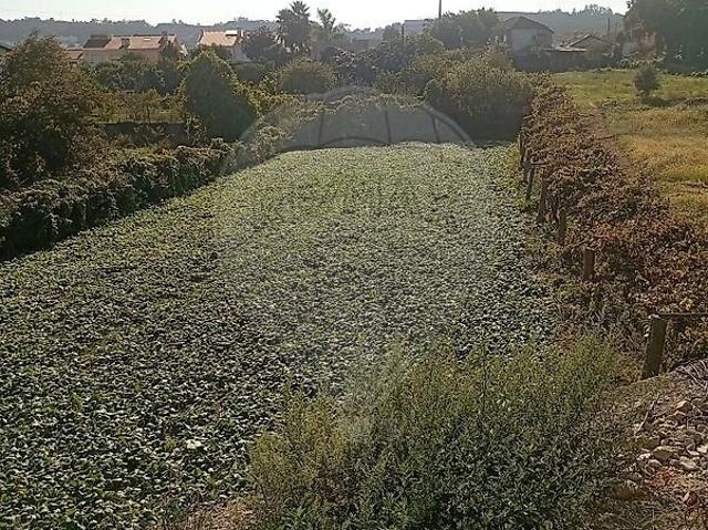 Terreno venda em Valongo