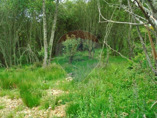 Terreno venda em Argeriz, Vila Real