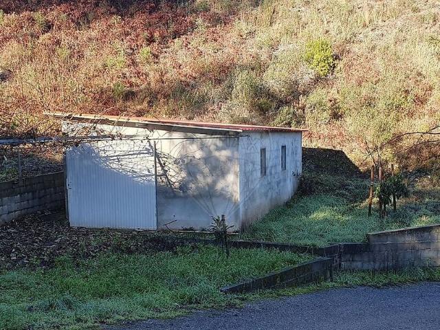 Terreno venda em Sertã