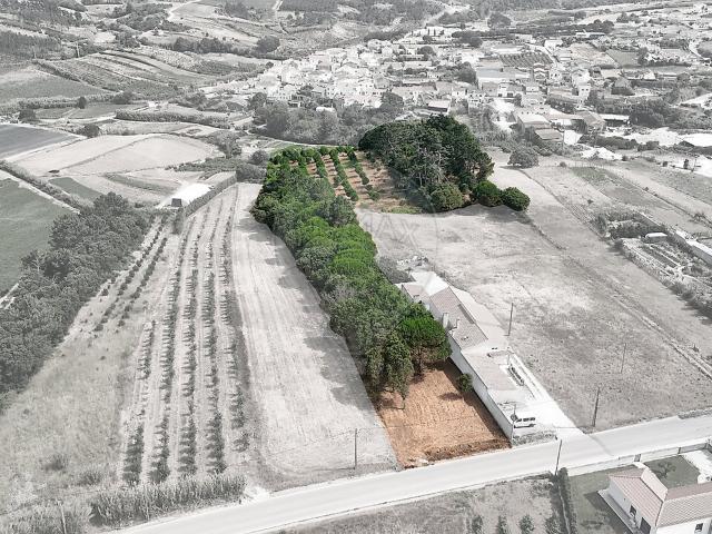 Terreno venda em Vau, Óbidos