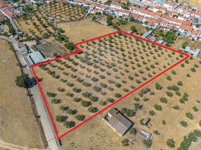 Terreno venda em Veiros, Estremoz
