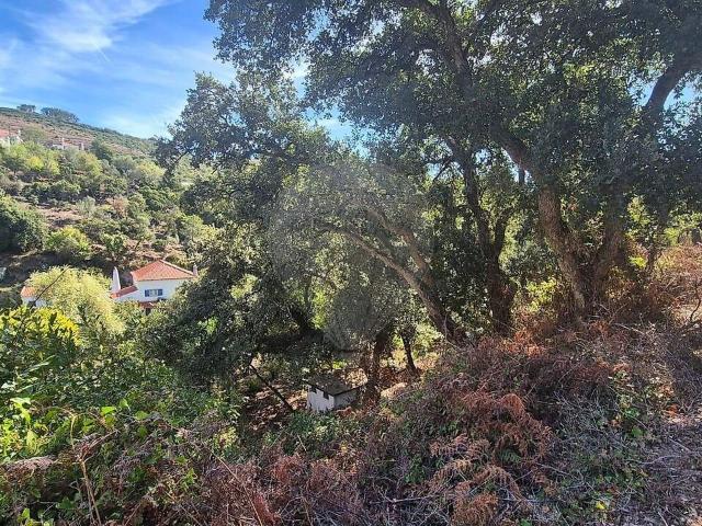 Terreno venda em Venda do Pinheiro e Santo Estêvão das Galés, Mafra