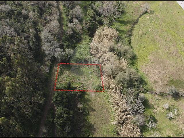 Terreno venda em Venda do Pinheiro e Santo Estêvão das Galés, Mafra