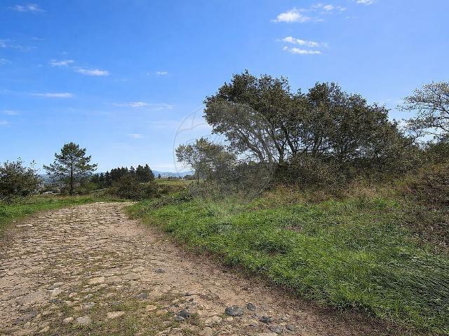 Terreno venda em Milharado, Mafra