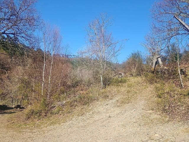 Terreno venda em Venda Nova e Pondras, Montalegre