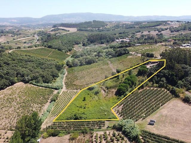 Terreno venda em Vermelha, Cadaval