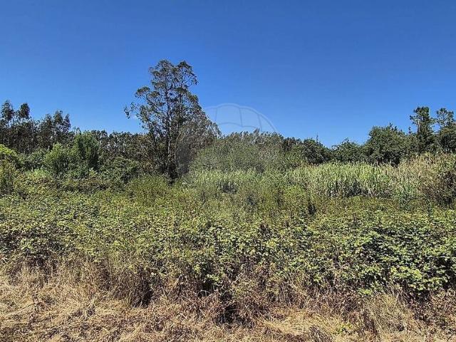 Terreno venda em Vermoil, Pombal